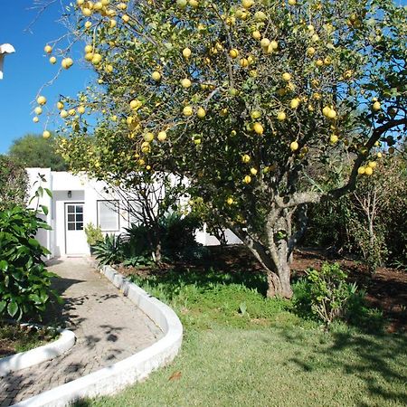 Casa Beachcomber Le Jardin Des Arts ラゴス エクステリア 写真