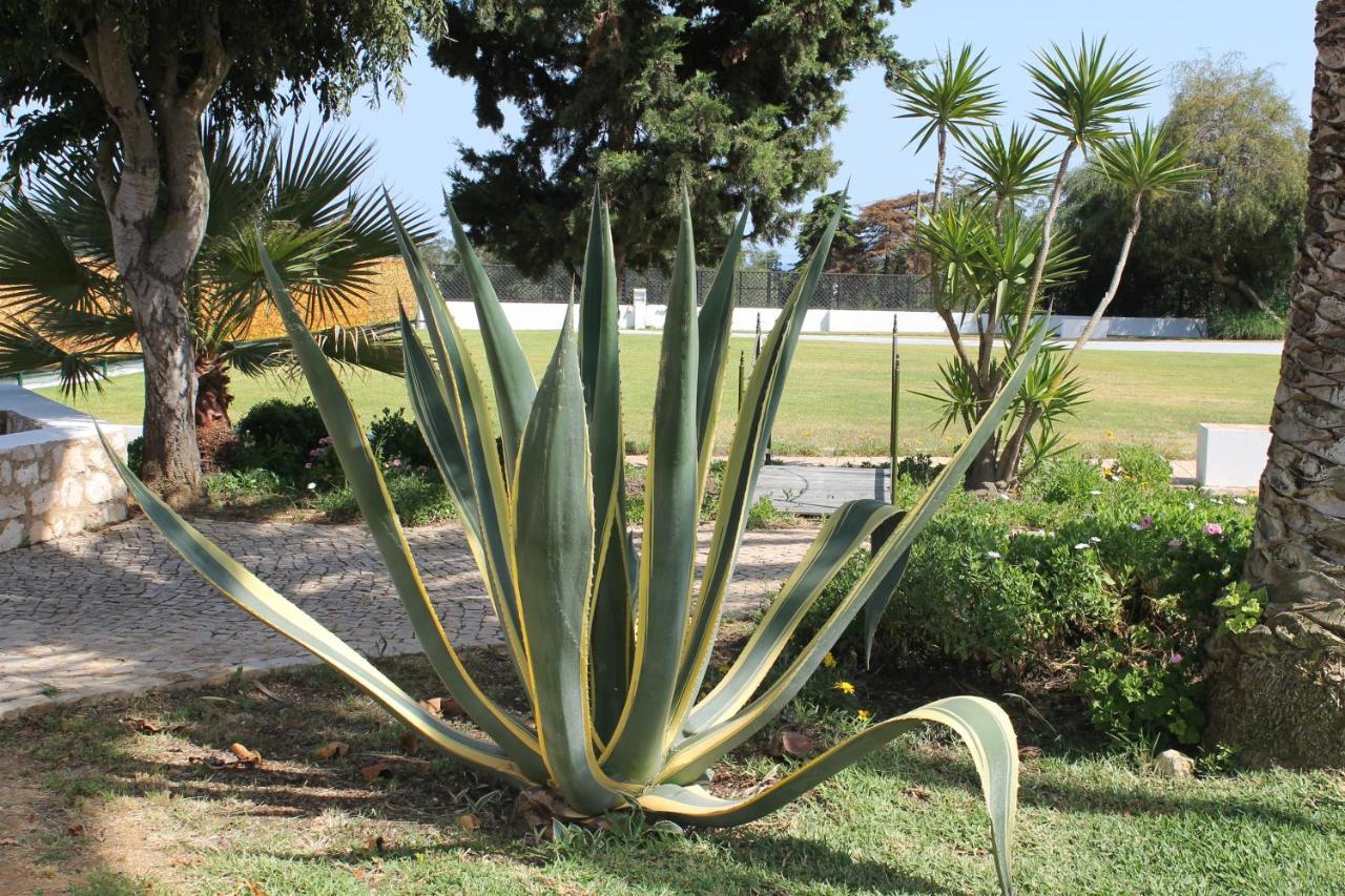 Casa Beachcomber Le Jardin Des Arts ラゴス エクステリア 写真