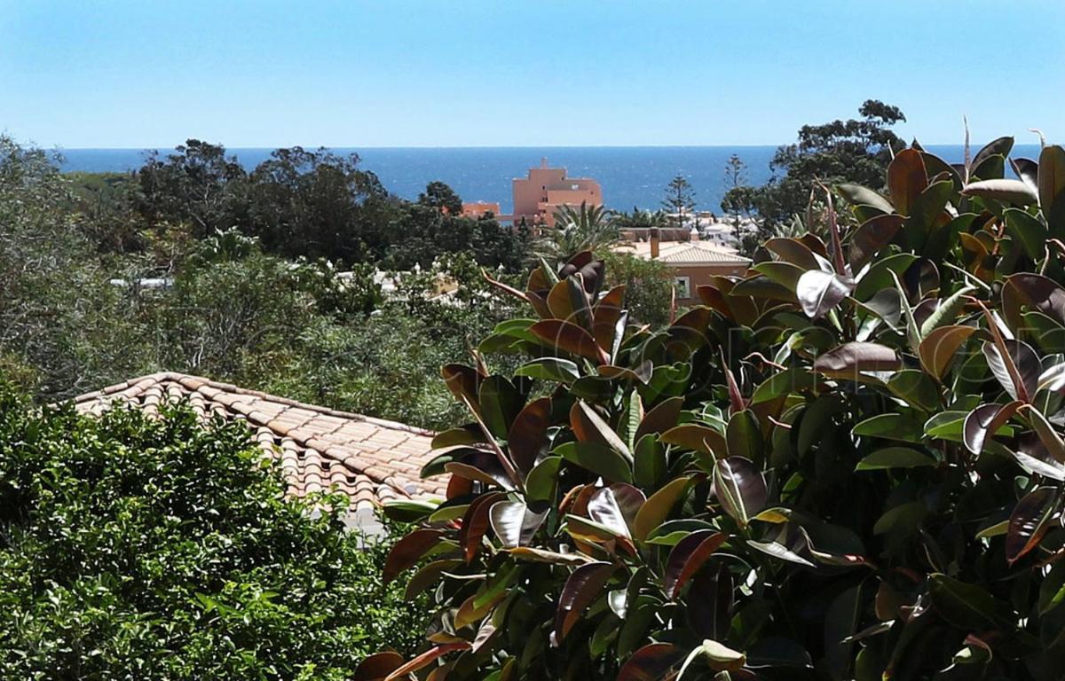 Casa Beachcomber Le Jardin Des Arts ラゴス エクステリア 写真