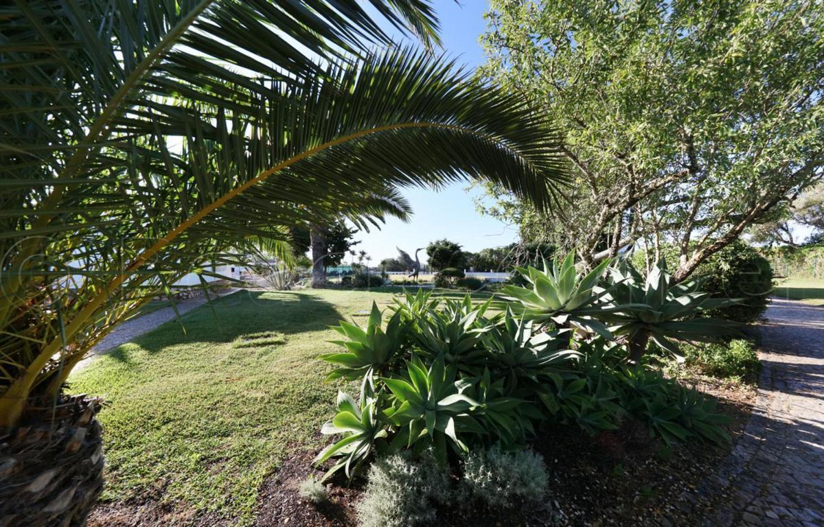 Casa Beachcomber Le Jardin Des Arts ラゴス エクステリア 写真